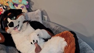 @AngryBarks from the Vet’s office teaches your how to milk your puppy boyfriend 👨‍🔬💦