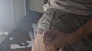 Pijudo Lechero extremo