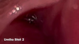 Learning to Cum