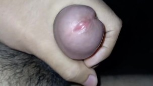 Leche caliente por un pene rojo y cabezon