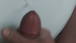 Pup cums in the bathroom after a quick morning stroke.